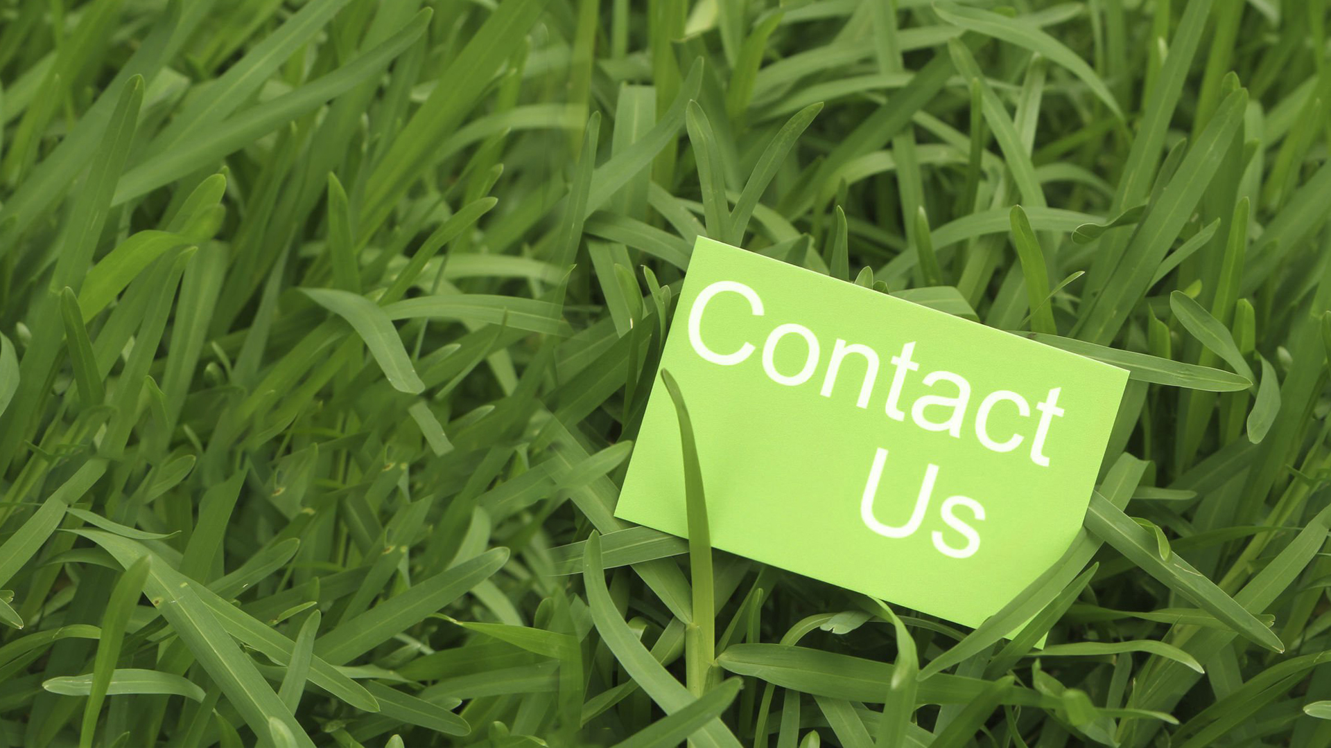 Contact Maple Leaf Landscapes